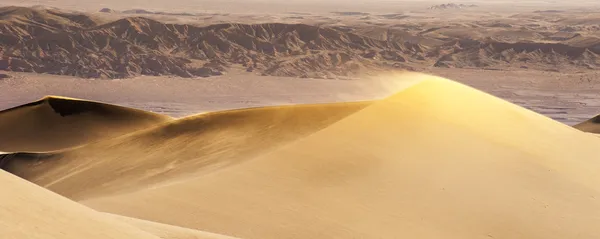 Sand Dunes Desert — Stock Photo, Image