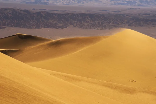 Sanddünen Wüste — Stockfoto