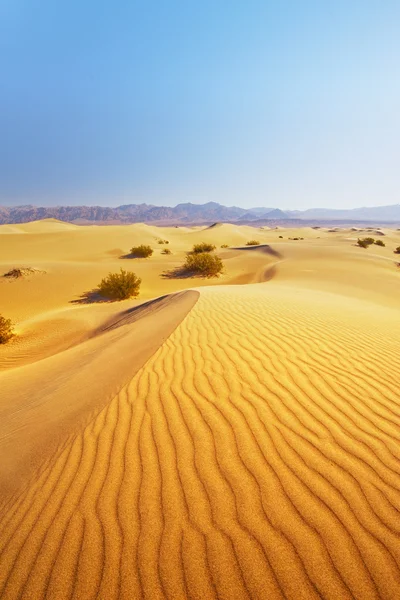 Zandduinen woestijn — Stockfoto