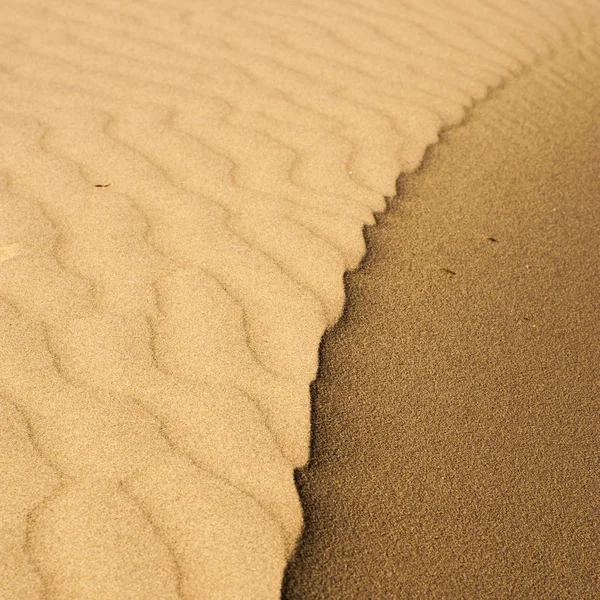 Sand Dunes Desert — Stock Photo, Image