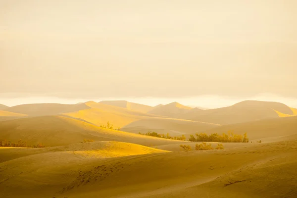 蓝天沙漠景观 — 图库照片