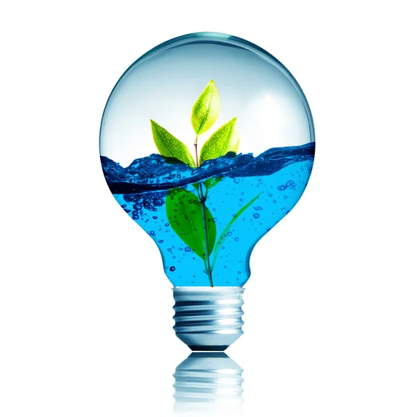 Green energy concept — Stock Photo, Image