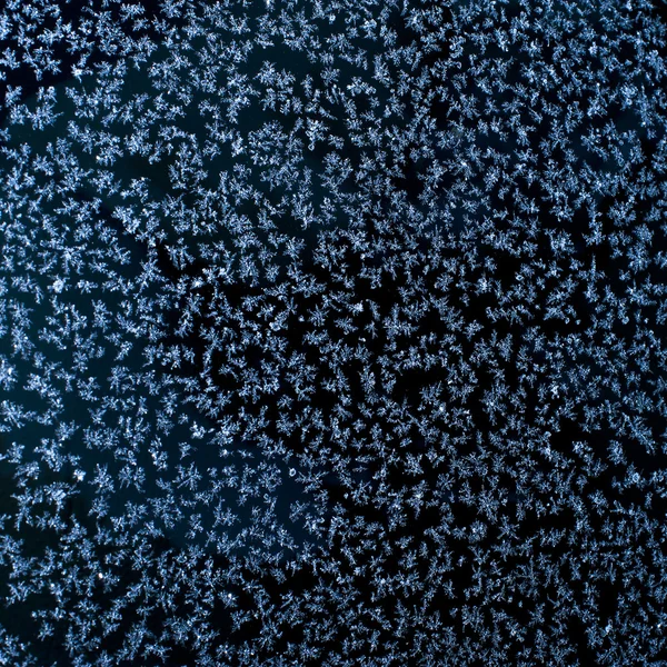 Snöflingor på fönster — Stockfoto