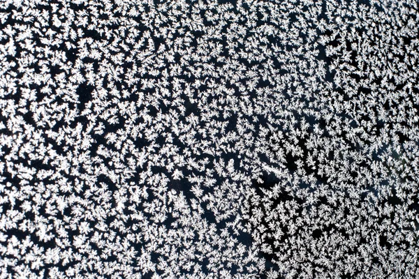 Snow flakes on window — Stock Photo, Image