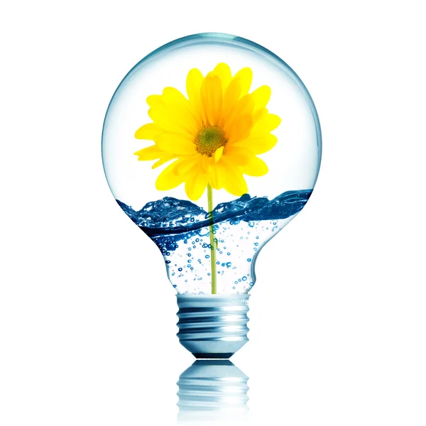 Yellow flower growing inside the light bulb — Stock Photo, Image