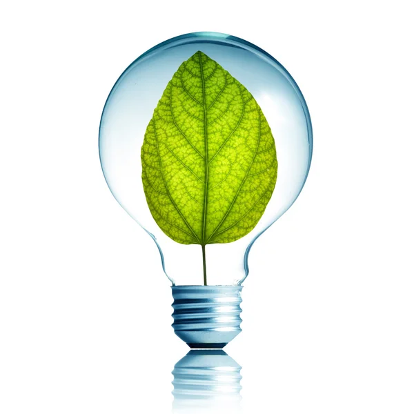 Concepto de energía verde — Foto de Stock