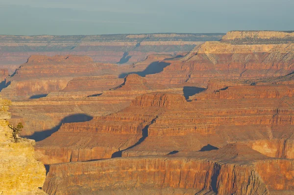 Vista sul Grand canyon — Foto Stock