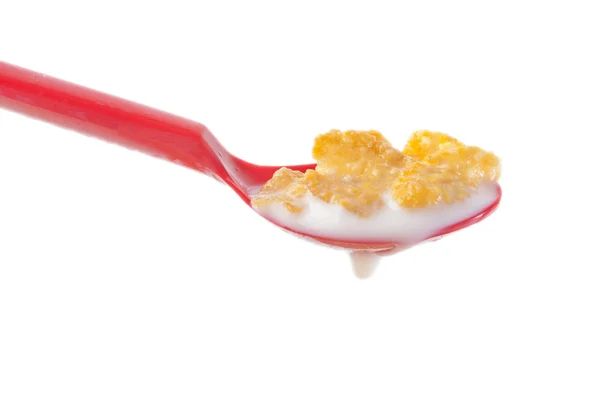 Mergulho colher vermelha em Cereal com leite — Fotografia de Stock