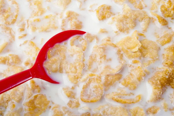 Red spoon dip in Cereal with milk — Stock Photo, Image