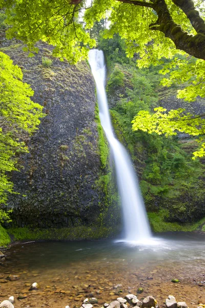 Wasserfall im Oregon — Stockfoto