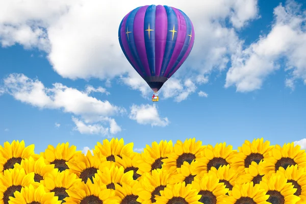 Campo de girassol com balão de ar quente — Fotografia de Stock