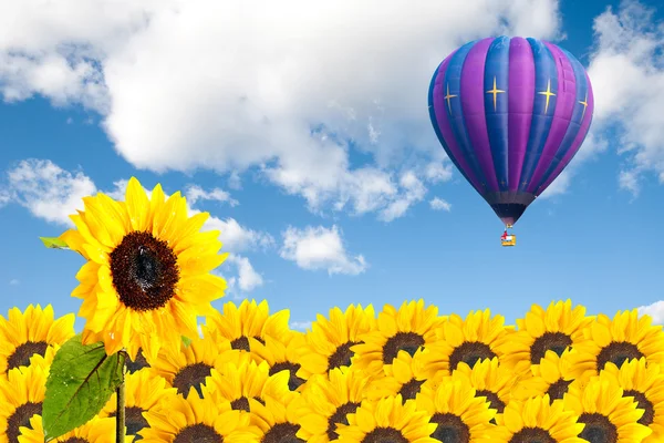 Sonnenblumenfeld mit Heißluftballon — Stockfoto