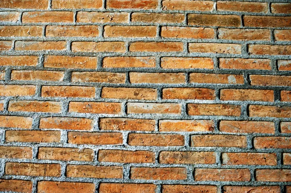 Color brick texture — Stock Photo, Image