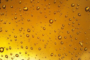 golden üzerinde su damlası