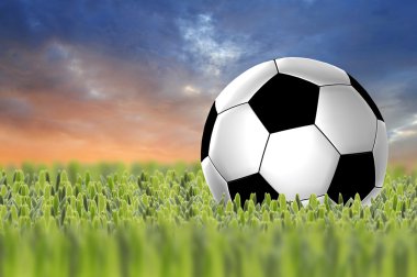 yeşil çim futbol