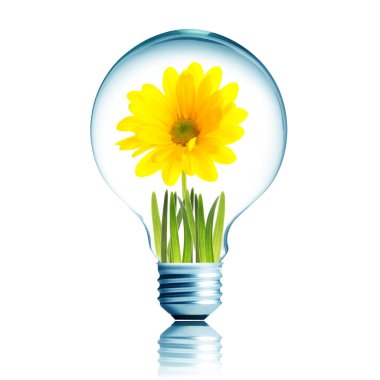 Sarı çiçek ampul içinde büyüyen