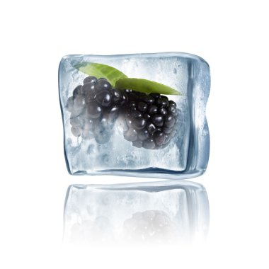 dondurulmuş böğürtlen