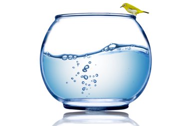 δισκίο και webinar εικονογράφηση ΣΧΕΔΙΑΣΜΟΣ ΠΙΝΑΚΙΔΩΝ