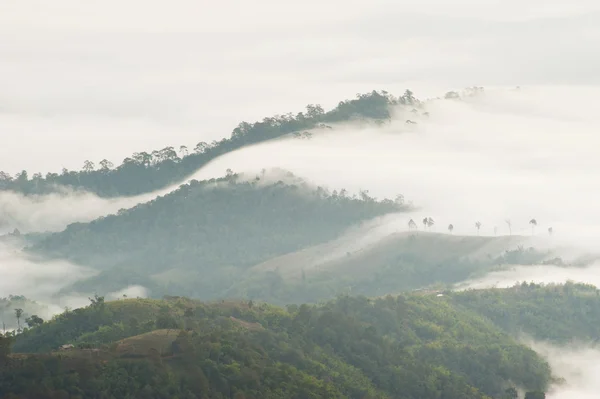 Montaña con océano de nubes —  Fotos de Stock