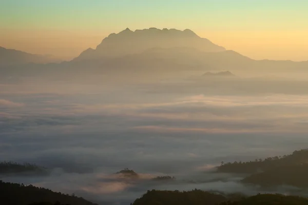 雲の海と山 — ストック写真