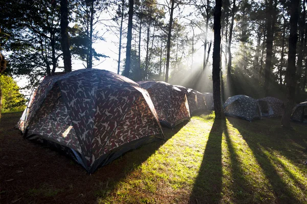 Camping tent — Stock Photo, Image