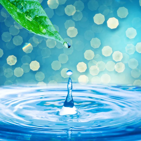 Water drop from green leaf — Stock Photo, Image