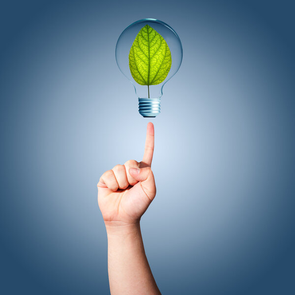 Man hand pointing to light bulb with green plant inside