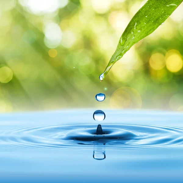 Water drop from green leaf — Stock Photo, Image