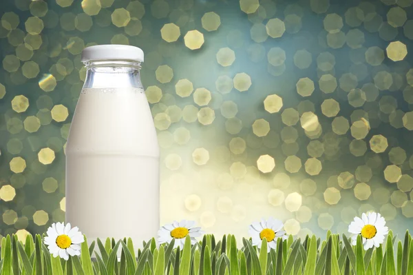 Bottle of milk on green grass — Stock Photo, Image