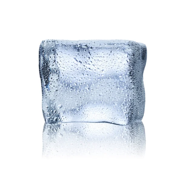Kostka ledu — Stock fotografie