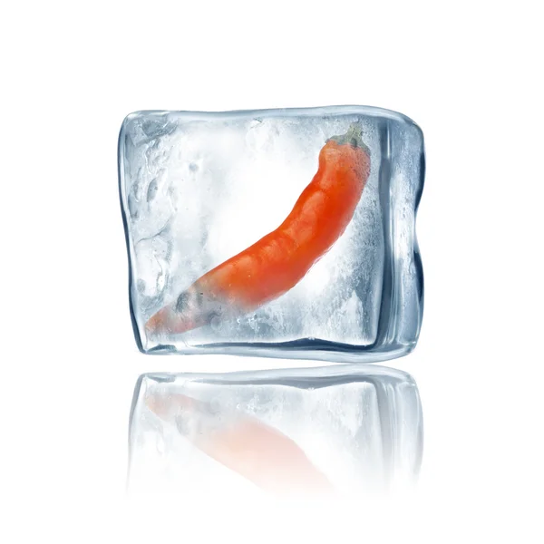 Chili congelado — Foto de Stock