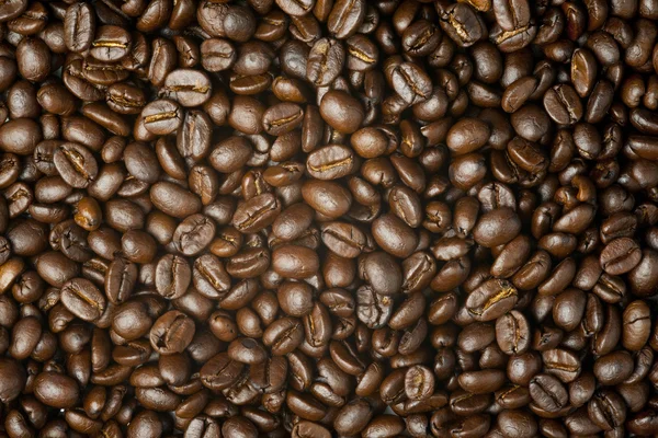 Κοντινό πλάνο σε καφέ φασολιών καφέ — Φωτογραφία Αρχείου