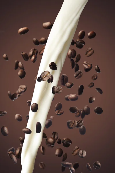 Kaffeebohnen und Milchspritzer — Stockfoto
