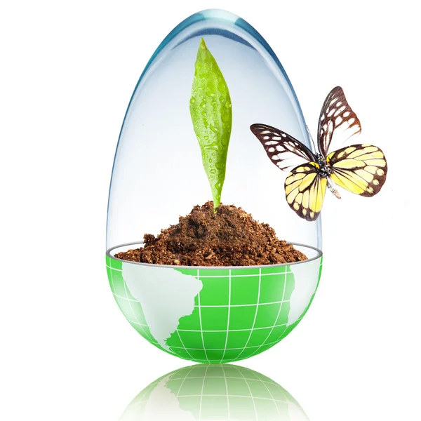 Butterfly on the globe filled with dirt and plant — Stock Photo, Image