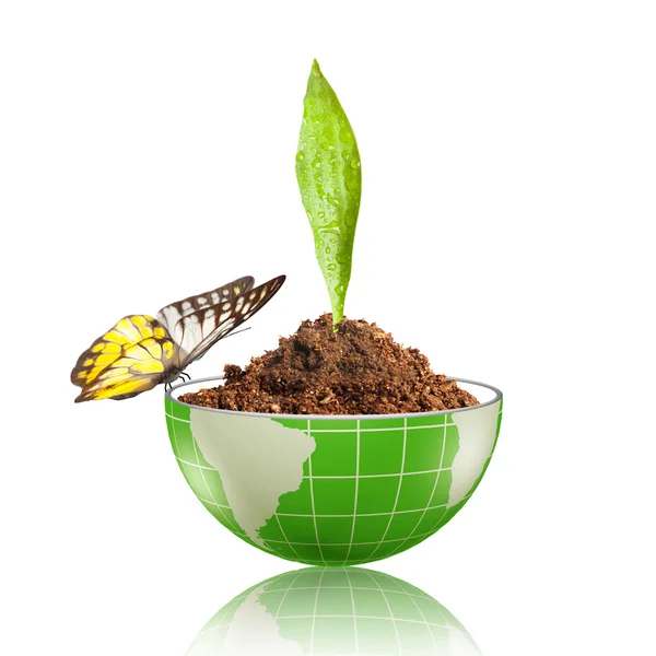 Globe with dirt and butterfly — Stock Photo, Image