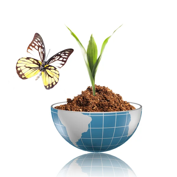 Butterfly on the blue globe — Stock Photo, Image
