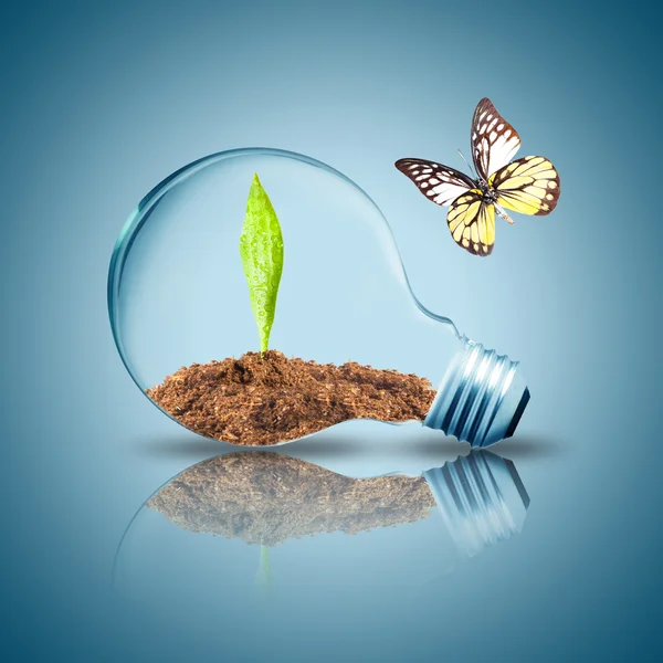 Butterfly flying to the light bulb — Stock Photo, Image