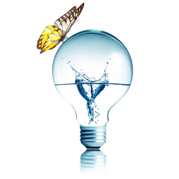 Light bulb with butterfly on top and water inside — Stock Photo, Image