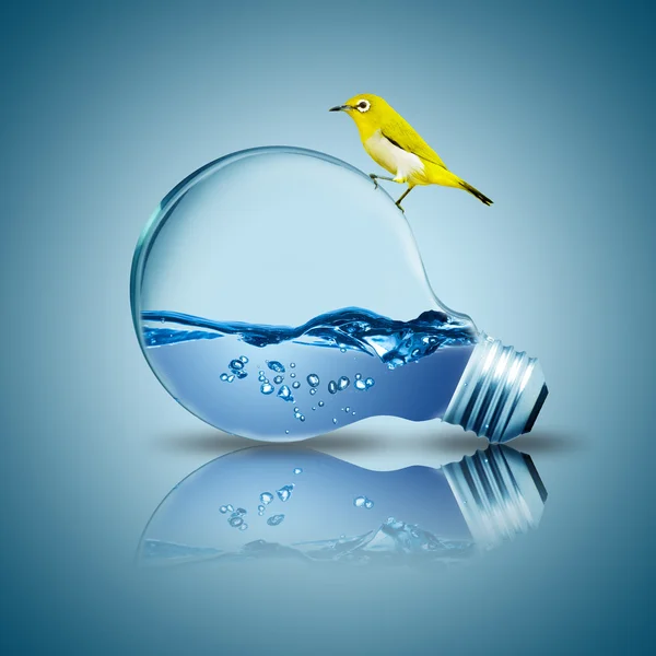 Yellow bird on light bulb with water inside — Stock Photo, Image