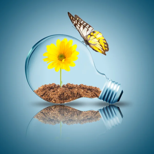 Light bulb with yellow flower inside — Stock Photo, Image