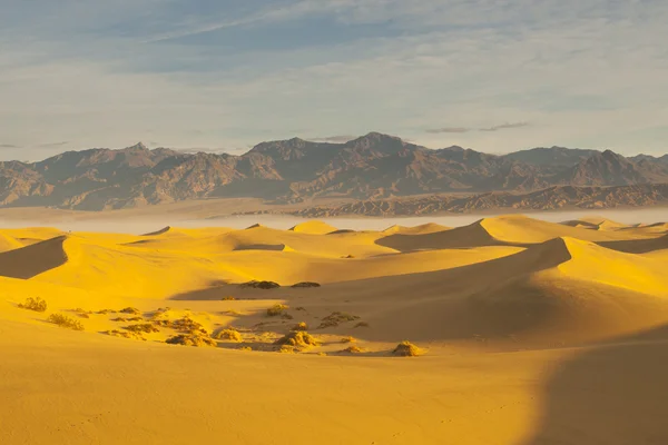 Desert Sand — Stock Photo, Image