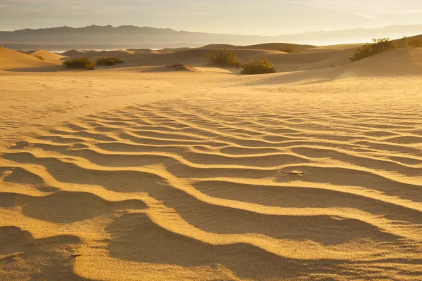 Desert Sand — Stock Photo, Image