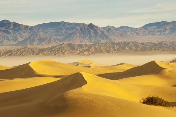 Desert landscape — Stock Photo, Image