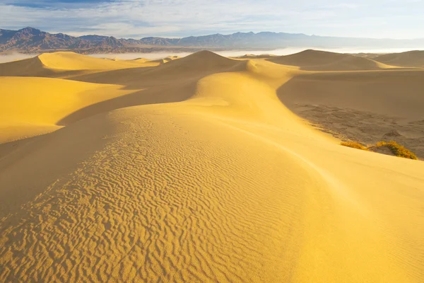 Woestijnlandschap — Stockfoto
