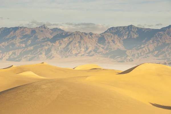Пустельний ландшафт — стокове фото