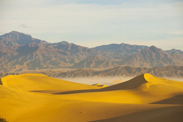 Paisagem do deserto — Fotografia de Stock