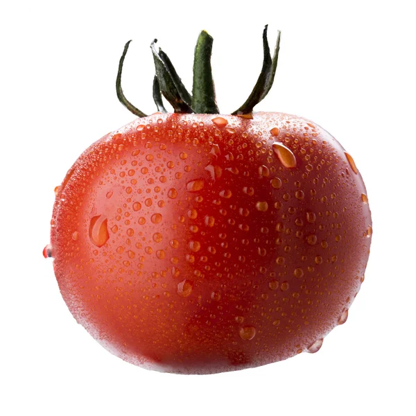 Tomaatin lähikuva — kuvapankkivalokuva