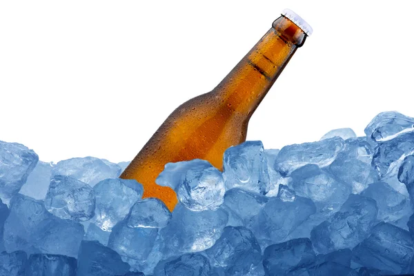 Birra nel cubetto di ghiaccio — Foto Stock