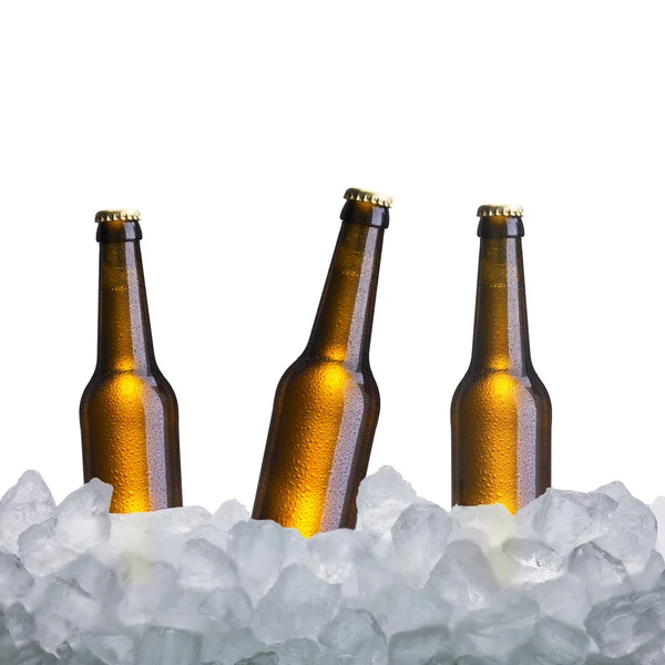 Cerveza en cubo de hielo — Foto de Stock