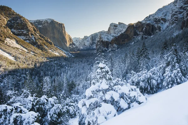 Nationaal park Yosemite — Stockfoto